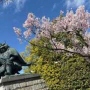 ヒメ日記 2026/03/21 02:17 投稿 ちえ 甲府人妻隊