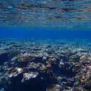 ヒメ日記 2026/03/22 22:45 投稿 ちえ 甲府人妻隊