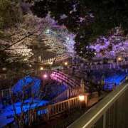 ヒメ日記 2026/03/25 09:47 投稿 ちえ 甲府人妻隊