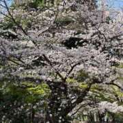 ヒメ日記 2026/03/27 17:42 投稿 ちえ 甲府人妻隊