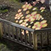 ヒメ日記 2026/03/31 22:14 投稿 ちえ 甲府人妻隊