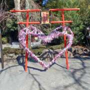 ヒメ日記 2026/04/02 21:18 投稿 ちえ 甲府人妻隊