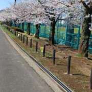 ヒメ日記 2026/04/03 12:35 投稿 ちえ 甲府人妻隊