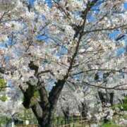 ヒメ日記 2026/04/07 16:09 投稿 ちえ 甲府人妻隊