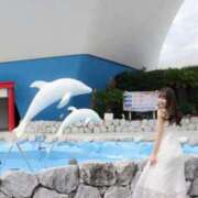 ヒメ日記 2026/03/31 10:10 投稿 みちる RED BERYL～レッドベリル～