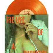 らら 訂正して貰いました。 僕らのぽっちゃリーノin大宮