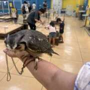 ヒメ日記 2026/07/27 20:11 投稿 らら 僕らのぽっちゃリーノin野田