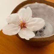 ヒメ日記 2026/03/23 07:04 投稿 麻美 出会い系人妻ネットワーク 新宿〜池袋編