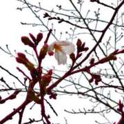 ヒメ日記 2026/03/24 22:20 投稿 麻美 出会い系人妻ネットワーク 新宿〜池袋編