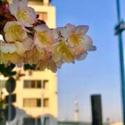 ヒメ日記 2026/03/26 20:47 投稿 麻美 出会い系人妻ネットワーク 新宿〜池袋編