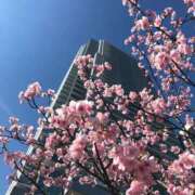 ヒメ日記 2026/03/27 20:45 投稿 麻美 出会い系人妻ネットワーク 新宿〜池袋編