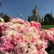 ヒメ日記 2026/03/28 16:56 投稿 麻美 出会い系人妻ネットワーク 新宿〜池袋編