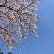 ヒメ日記 2026/03/28 17:50 投稿 麻美 出会い系人妻ネットワーク 新宿〜池袋編