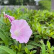 ヒメ日記 2026/03/31 19:00 投稿 麻美 出会い系人妻ネットワーク 新宿〜池袋編