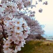 ヒメ日記 2026/04/01 02:48 投稿 麻美 出会い系人妻ネットワーク 新宿〜池袋編