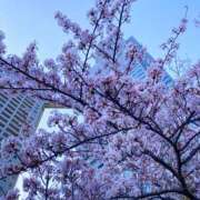 ヒメ日記 2026/04/02 16:56 投稿 麻美 出会い系人妻ネットワーク 新宿〜池袋編