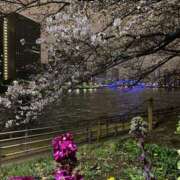 ヒメ日記 2026/04/03 18:15 投稿 麻美 出会い系人妻ネットワーク 新宿〜池袋編