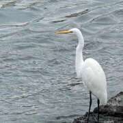 ヒメ日記 2026/04/03 18:27 投稿 麻美 出会い系人妻ネットワーク 新宿〜池袋編