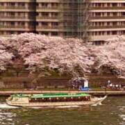 ヒメ日記 2026/04/06 19:11 投稿 麻美 出会い系人妻ネットワーク 新宿〜池袋編