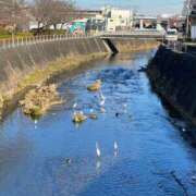 ヒメ日記 2026/04/16 00:22 投稿 麻美 出会い系人妻ネットワーク 新宿〜池袋編