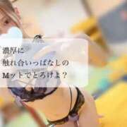 ヒメ日記 2026/03/30 17:19 投稿 細身爆乳モデル系美女せんなさん ロイヤル　アテンダー