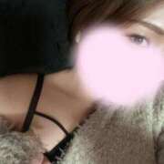 ヒメ日記 2026/04/17 08:45 投稿 ヒビキ ピカソ