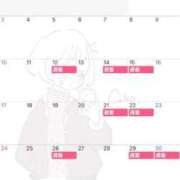 ヒメ日記 2026/04/21 11:41 投稿 Misa CELEB（セレブ）