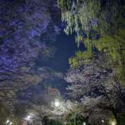 ヒメ日記 2026/04/25 11:03 投稿 可憐(かれん) 札幌人妻マドンナ