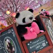 ヒメ日記 2026/03/28 11:06 投稿 あやか 熟女デリヘル倶楽部