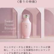 ヒメ日記 2026/04/26 08:22 投稿 あやか 熟女デリヘル倶楽部