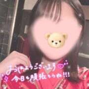 ヒメ日記 2026/05/20 07:20 投稿 さら おいらん遊郭
