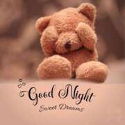 ヒメ日記 2026/03/20 22:07 投稿 一ノ瀬桃花(ももか) 東京不倫 渋谷店