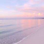 ヒメ日記 2026/03/22 20:07 投稿 一ノ瀬桃花(ももか) 東京不倫 渋谷店