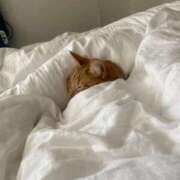 ヒメ日記 2026/03/29 08:37 投稿 一ノ瀬桃花(ももか) 東京不倫 渋谷店