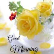 ヒメ日記 2026/04/07 10:57 投稿 一ノ瀬桃花(ももか) 東京不倫 渋谷店