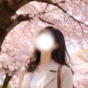 ヒメ日記 2026/04/07 20:07 投稿 一ノ瀬桃花(ももか) 東京不倫 渋谷店