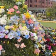 ヒメ日記 2026/04/13 18:07 投稿 一ノ瀬桃花(ももか) 東京不倫 渋谷店