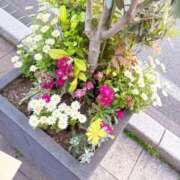 ヒメ日記 2026/04/29 10:24 投稿 ちい 人妻倶楽部 内緒の関係 大宮店