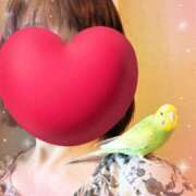 ヒメ日記 2026/05/12 07:20 投稿 椎葉香里 五十路マダムエクスプレス神戸店(カサブランカグループ)