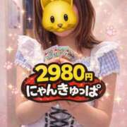 ヒメ日記 2026/03/24 12:56 投稿 ふみ 2980円（にゃんきゅっぱ）