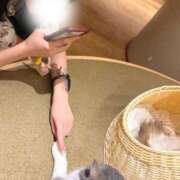 ヒメ日記 2026/06/16 19:28 投稿 さとり ロイヤルフラッシュ