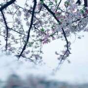 ヒメ日記 2026/04/06 12:31 投稿 あいか クラブM-1