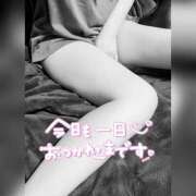 ヒメ日記 2026/05/07 23:39 投稿 折原わかば 一夜妻