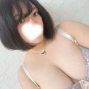 ヒメ日記 2026/04/11 18:19 投稿 らみ 白いぽっちゃりさん五反田店