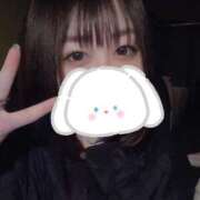 ヒメ日記 2026/04/21 10:13 投稿 うた THE ESUTE HOUSE 柴田