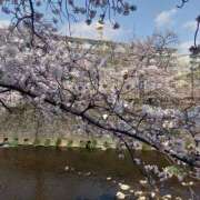 ヒメ日記 2026/04/01 09:48 投稿 さゆ 丸妻 厚木店