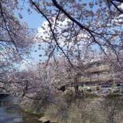 ヒメ日記 2026/04/05 16:53 投稿 さゆ 丸妻 厚木店