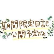 ヒメ日記 2026/03/20 12:57 投稿 愛月（あいづき） 丸妻 錦糸町店