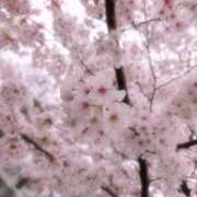 ヒメ日記 2026/04/10 20:18 投稿 新人ともえ DRAMA（ドラマ）