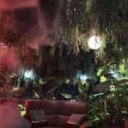 ヒメ日記 2026/04/11 18:19 投稿 そら ナチュラルプリンセス